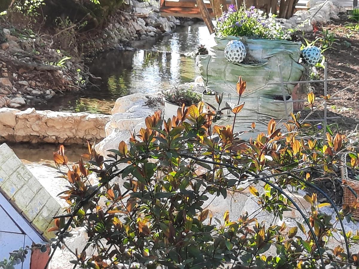 Live Nature Bihać Kültér fotó
