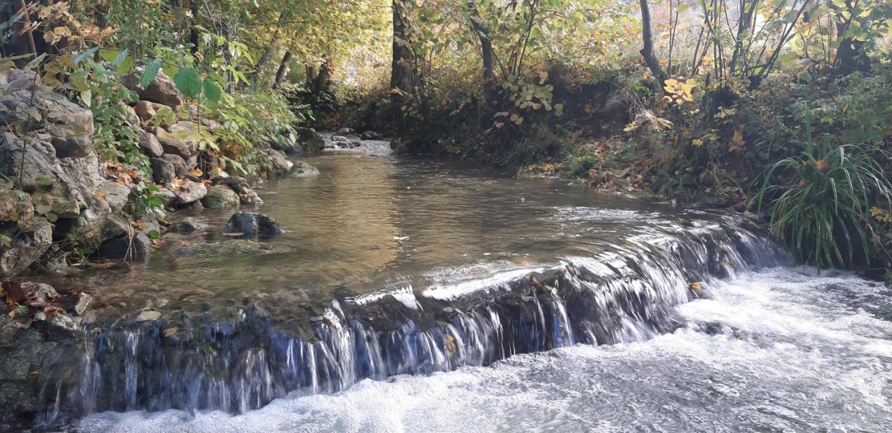 Live Nature Bihać Kültér fotó