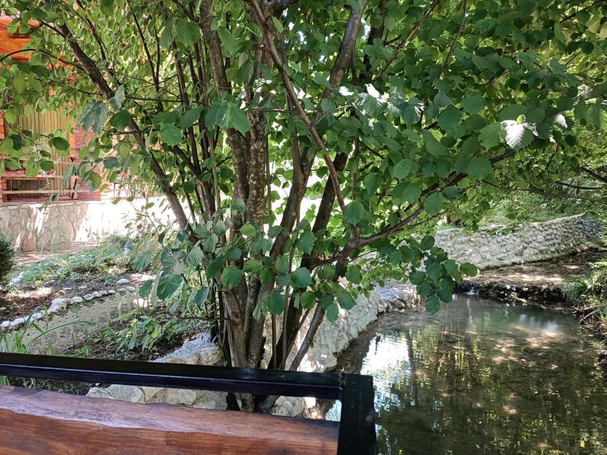 Live Nature Bihać Kültér fotó