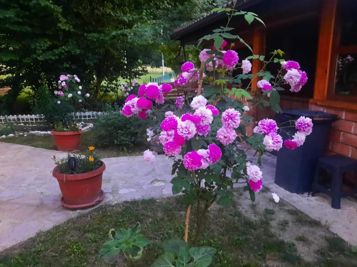 Live Nature Bihać Kültér fotó